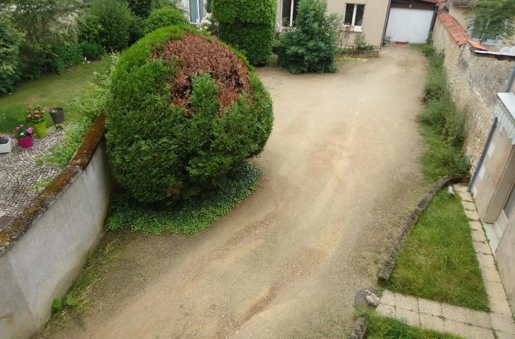 Photo 9