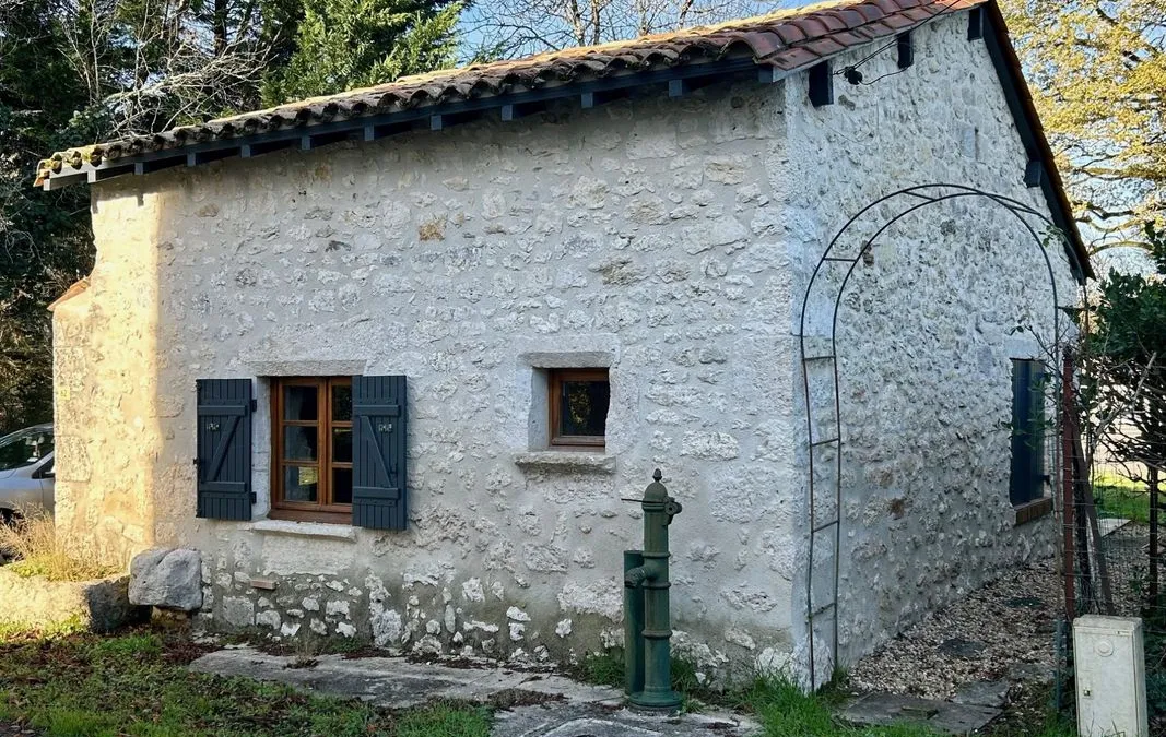 Photo 6