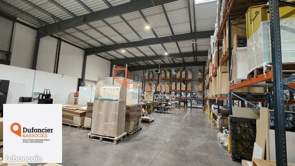 Photo 5