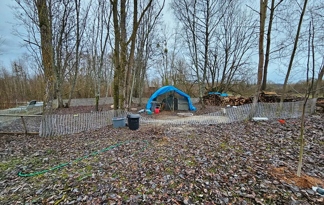 Photo 5