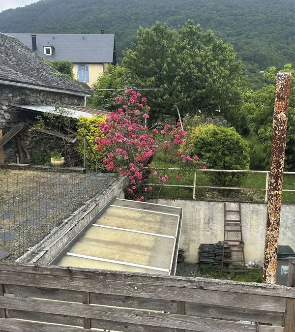 Photo 16