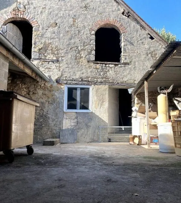 Photo 11