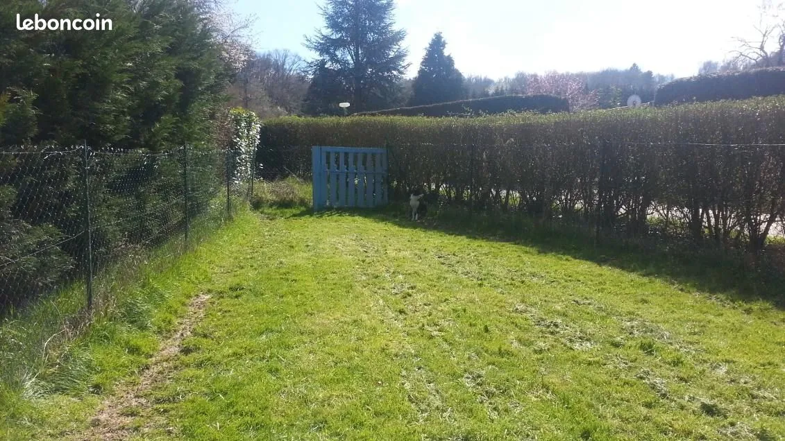 Photo 2