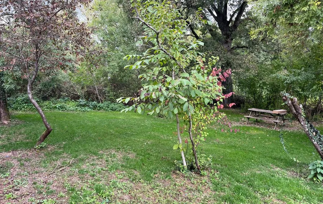 Photo 13