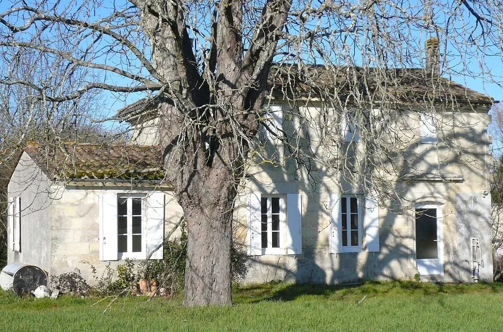 Photo 4