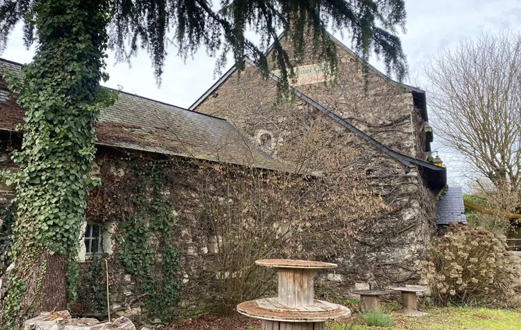 Photo 15