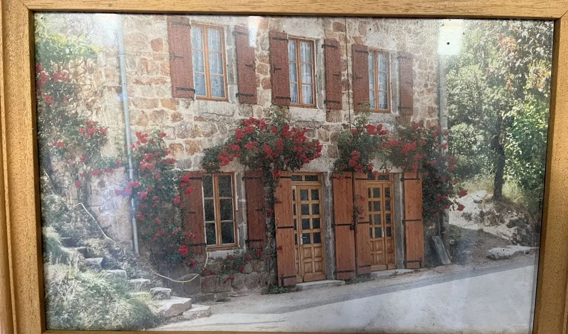 Photo 13