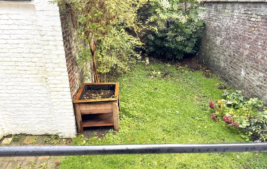 Photo 14