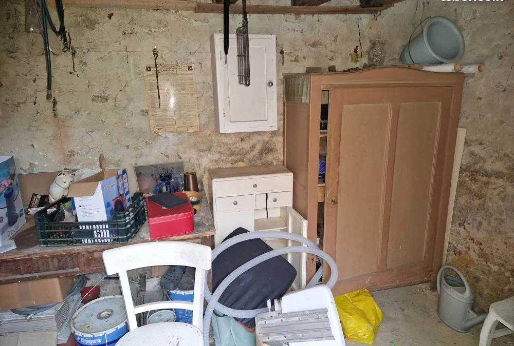 Photo 11