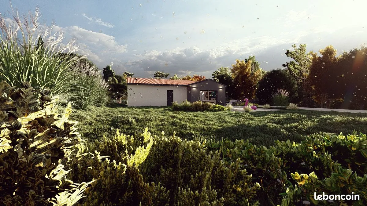 Photo 4