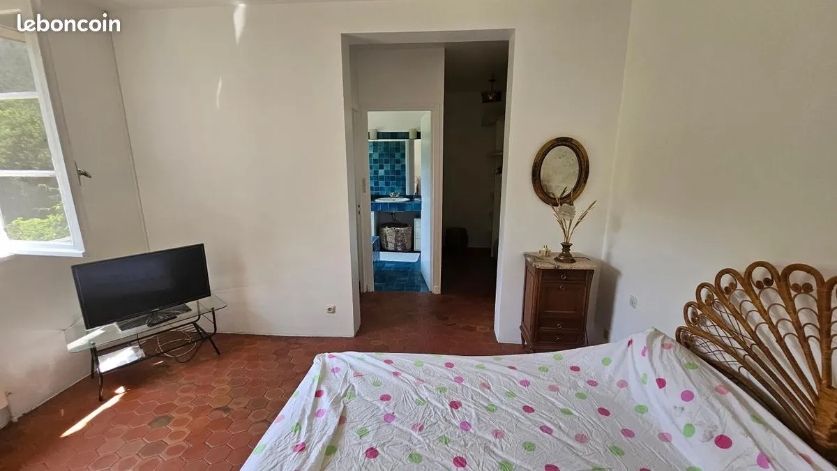Photo 15