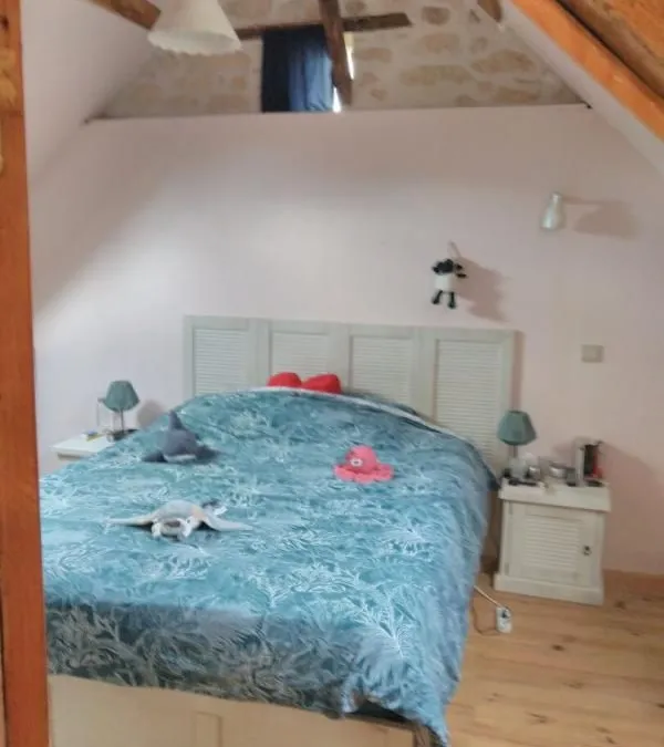 Photo 11