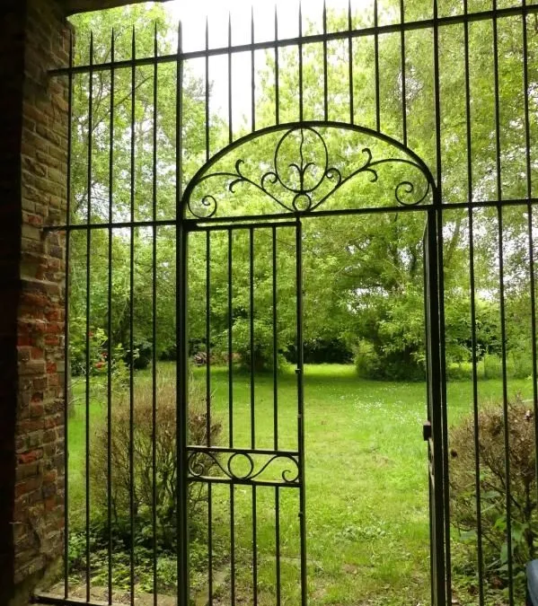 Photo 7