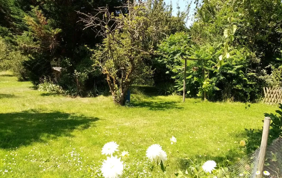 Photo 17