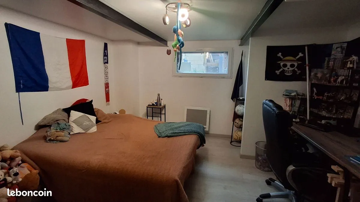 Photo 11