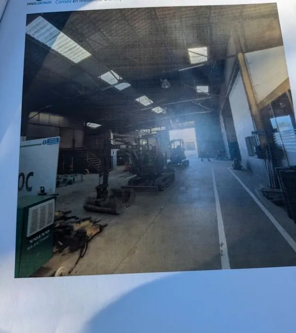 Photo 4