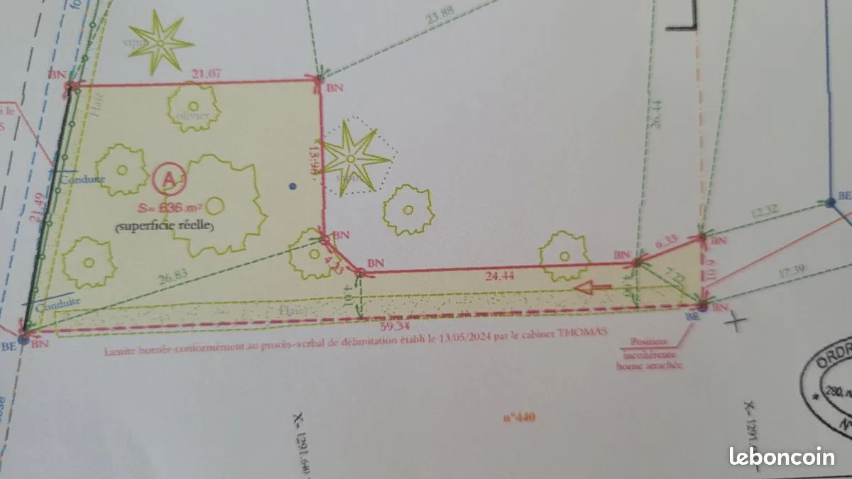 Photo 3