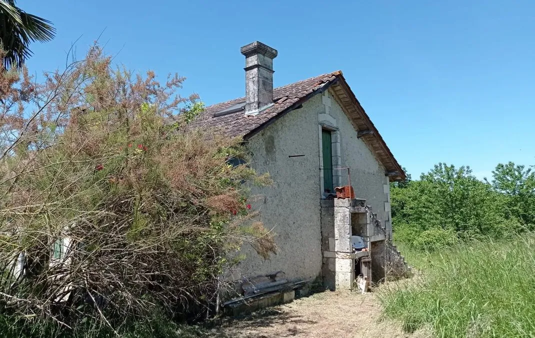 Photo 16