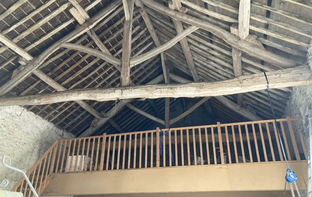 Photo 19