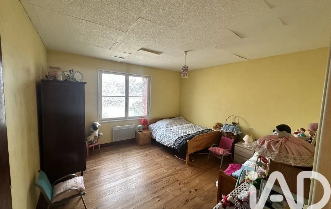 Photo 15