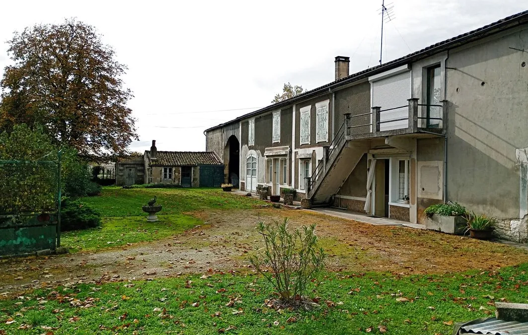 Photo 19