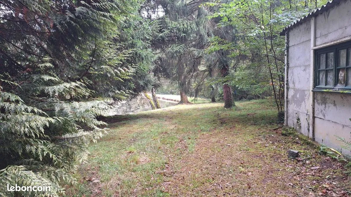 Photo 13