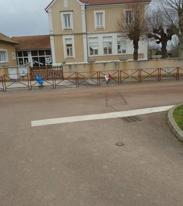 Photo 5