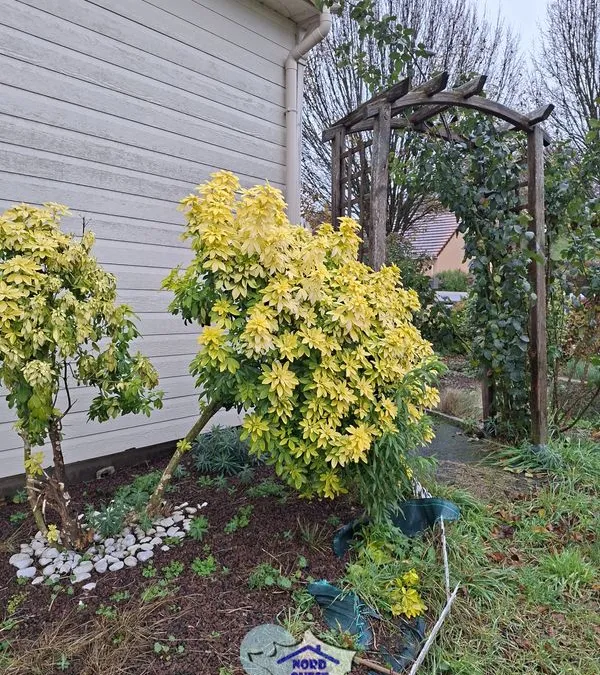 Photo 4