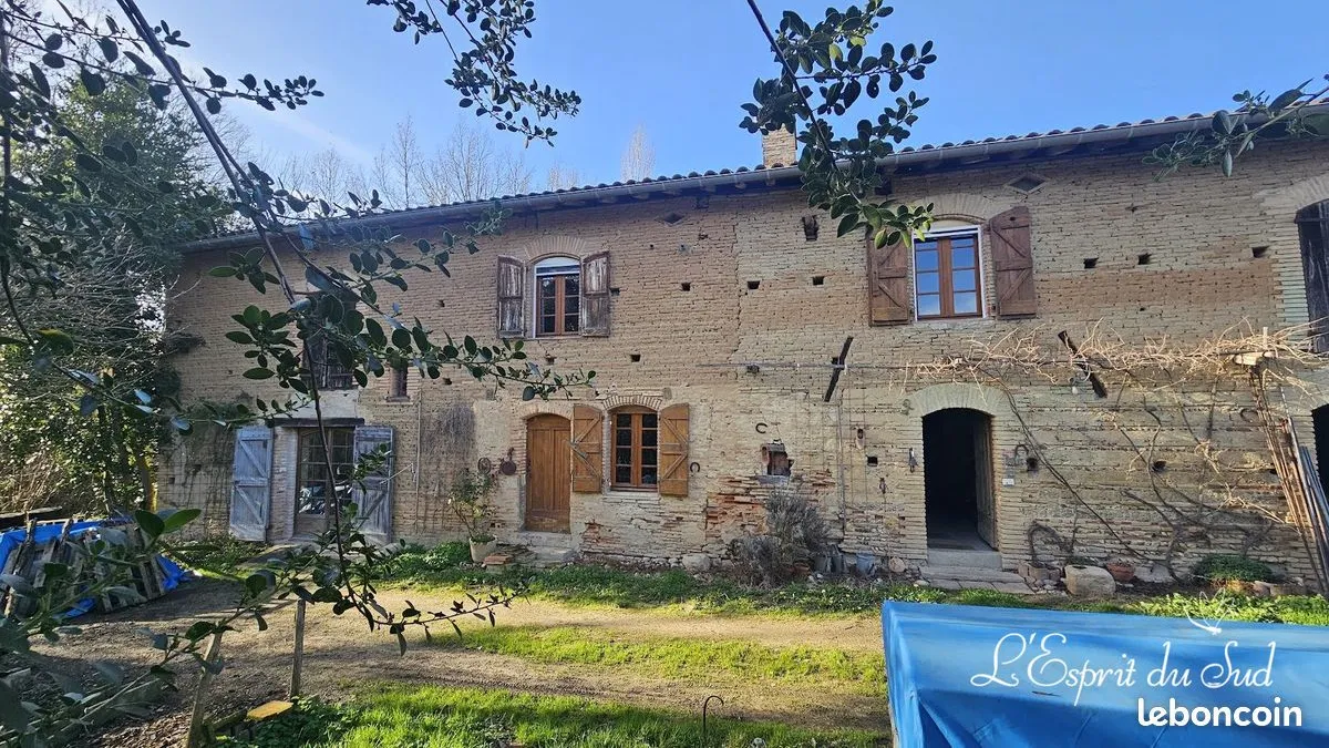 Photo 19