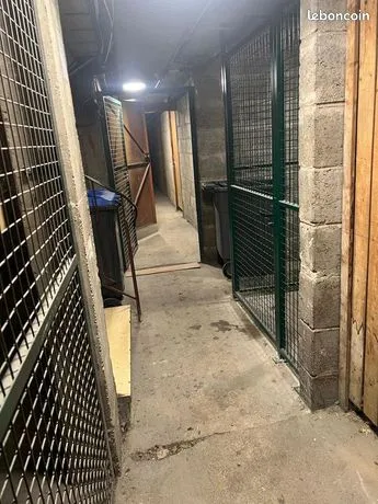 Photo 19