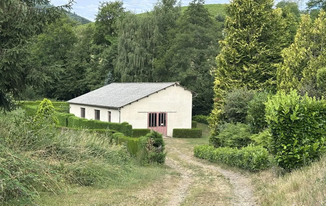 Photo 6