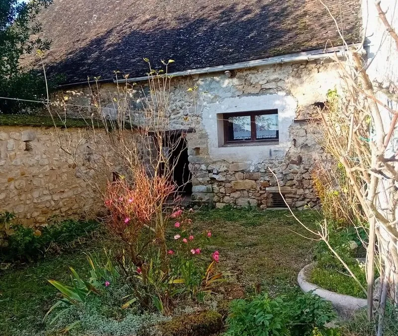 Photo 8