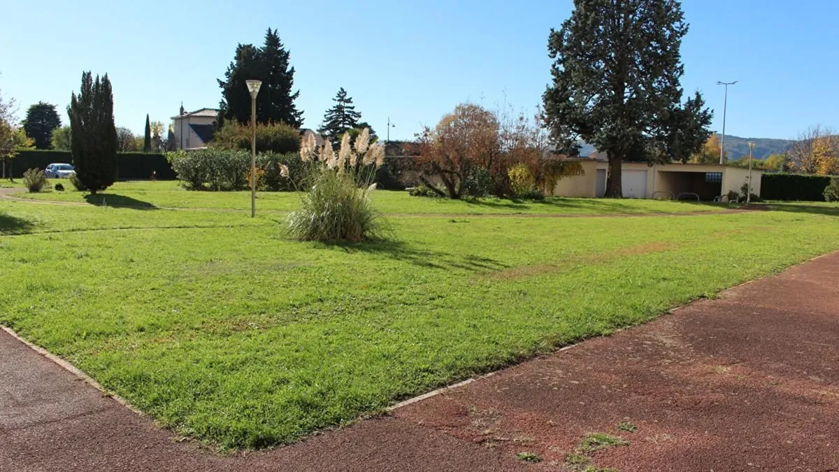 Photo 11