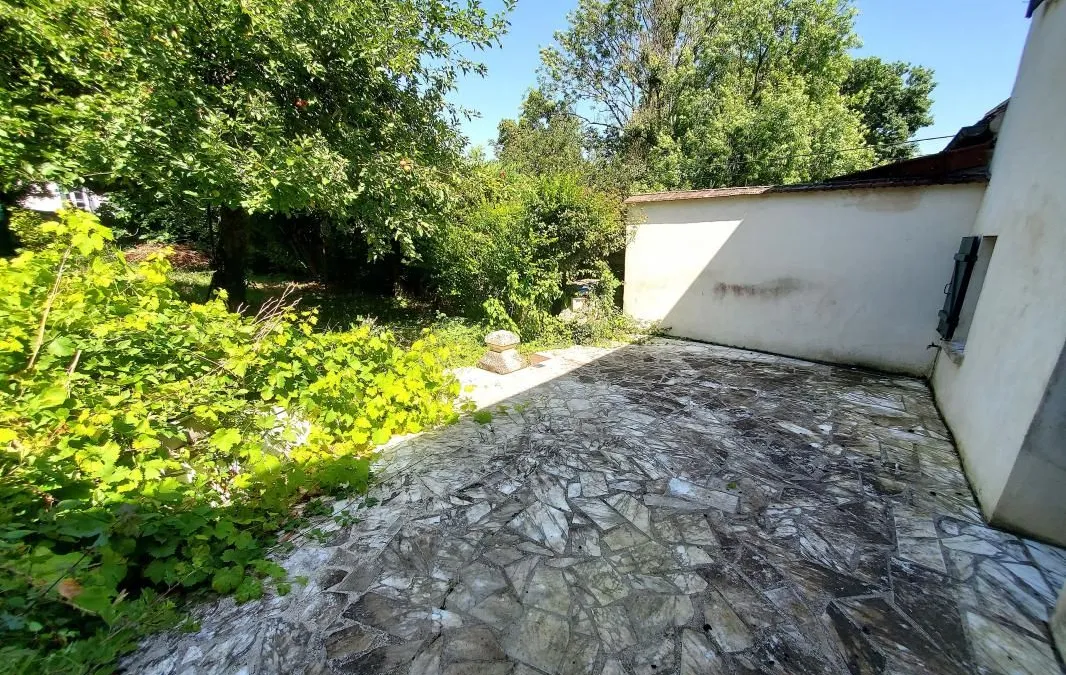 Photo 11