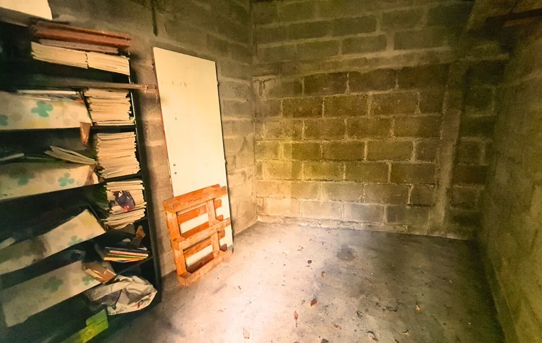 Photo 5