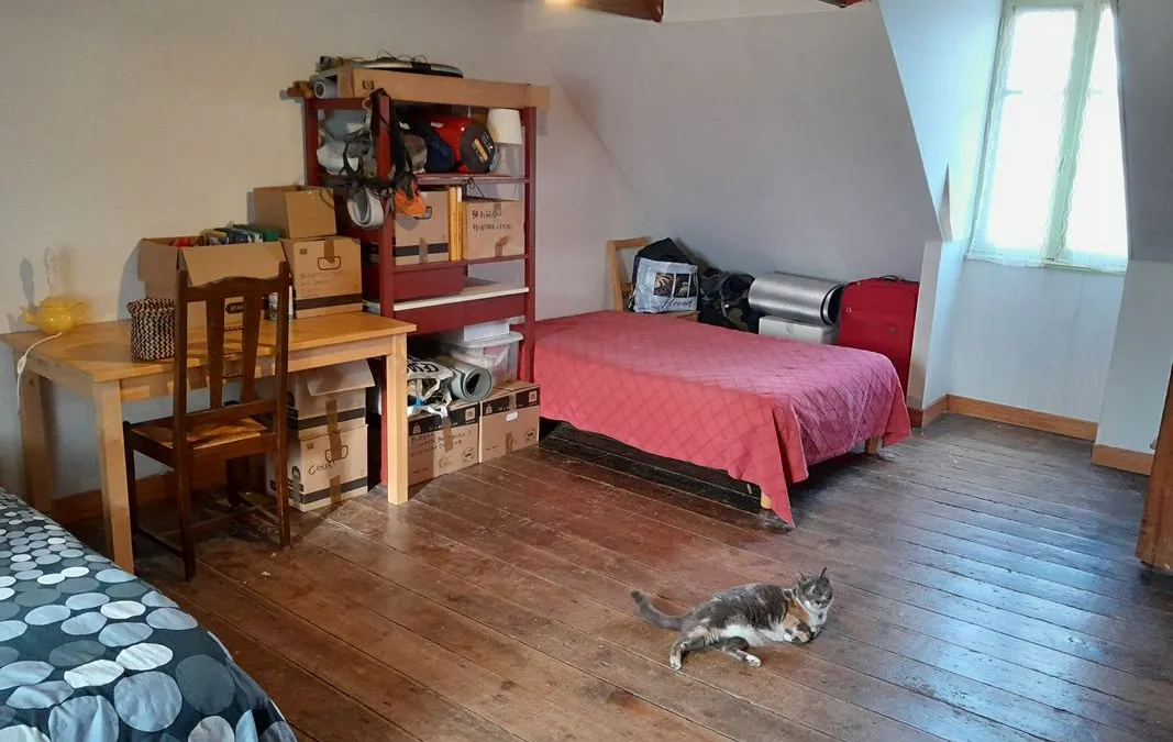 Photo 14