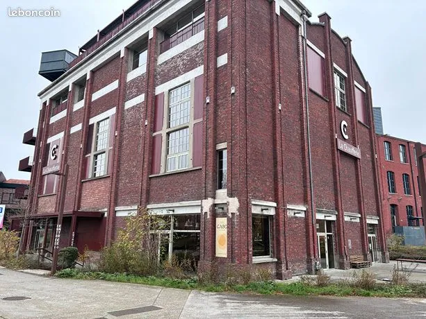 Photo 6