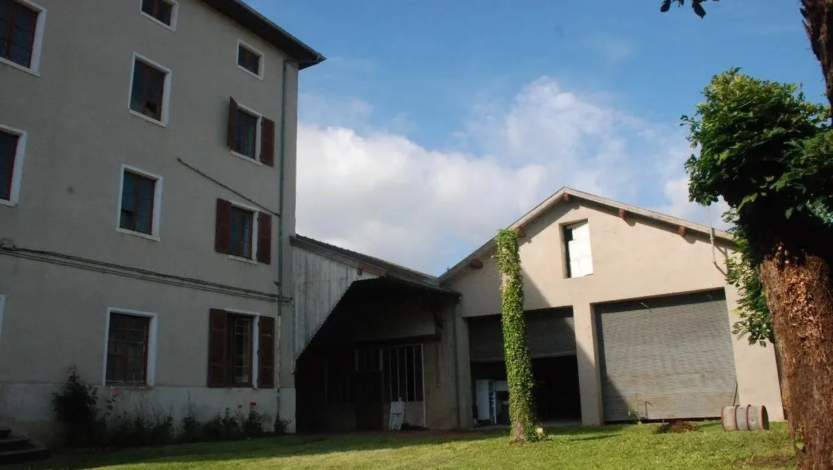 Photo 10