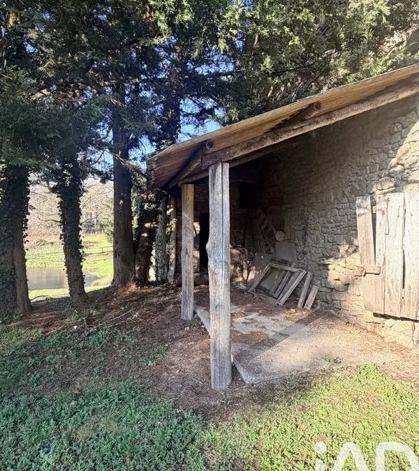 Photo 15