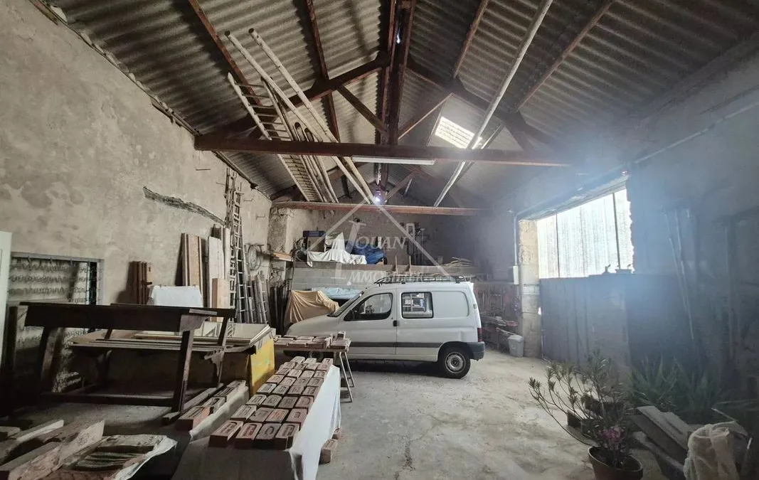 Photo 4
