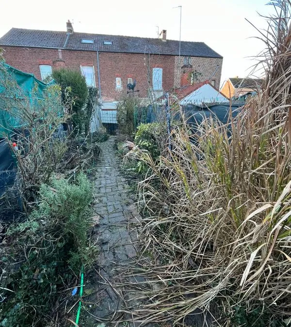 Photo 15