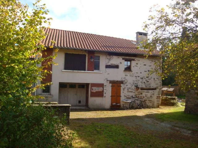 Photo 11