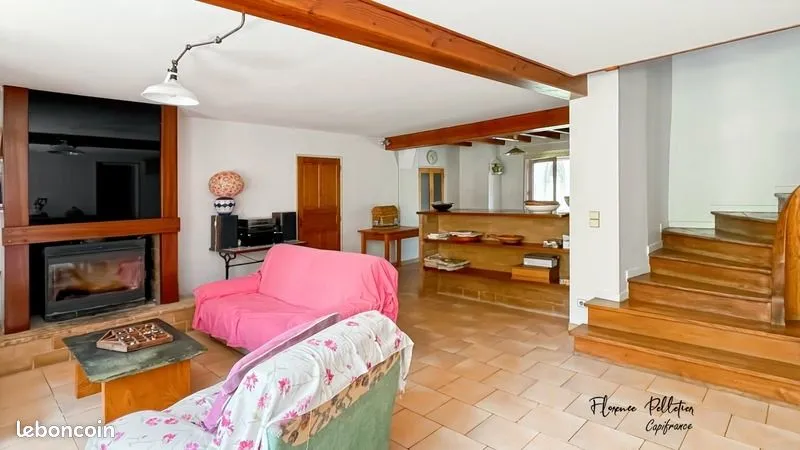 Photo 5