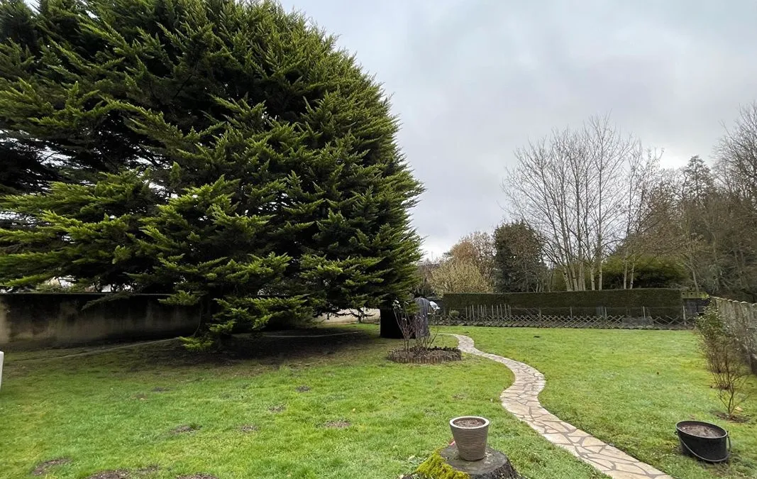 Photo 15