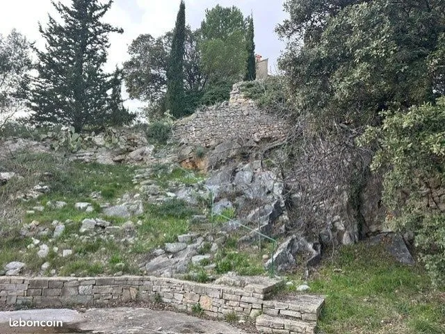 Photo 20