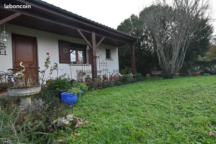 Photo 19