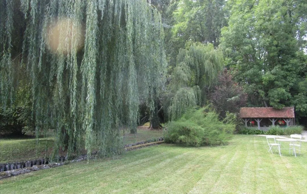 Photo 14
