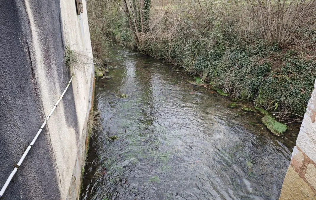 Photo 8