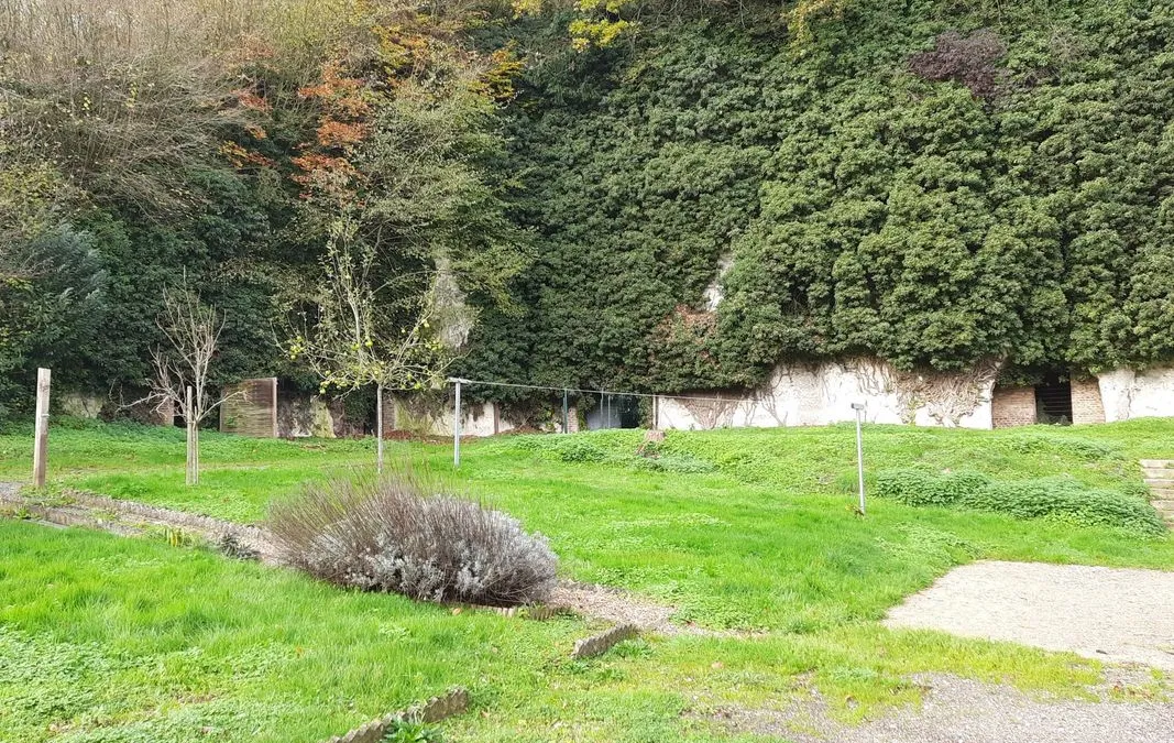Photo 11