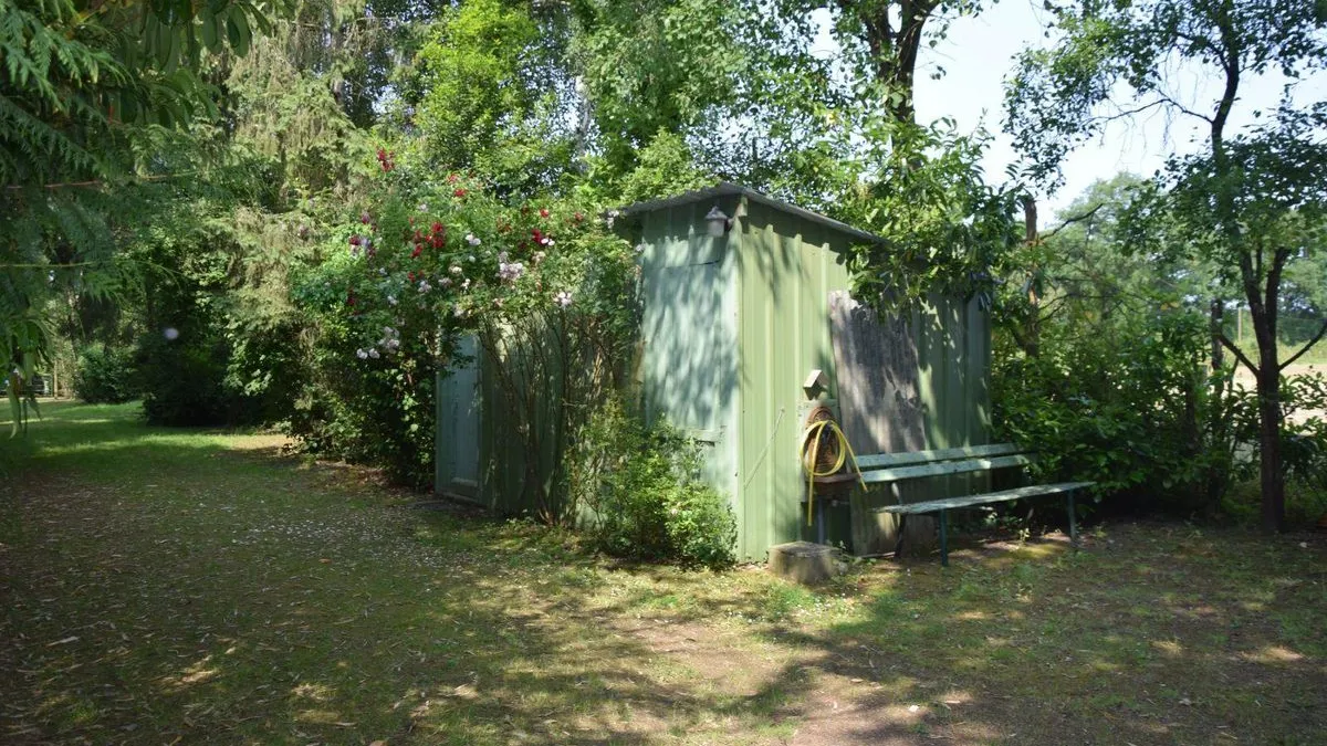 Photo 11